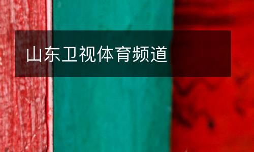 山東衛(wèi)視體育頻道